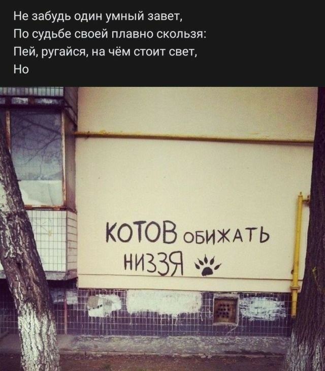 e55e9c938a2639454ad13cd75ecac53e.jpg.jpeg