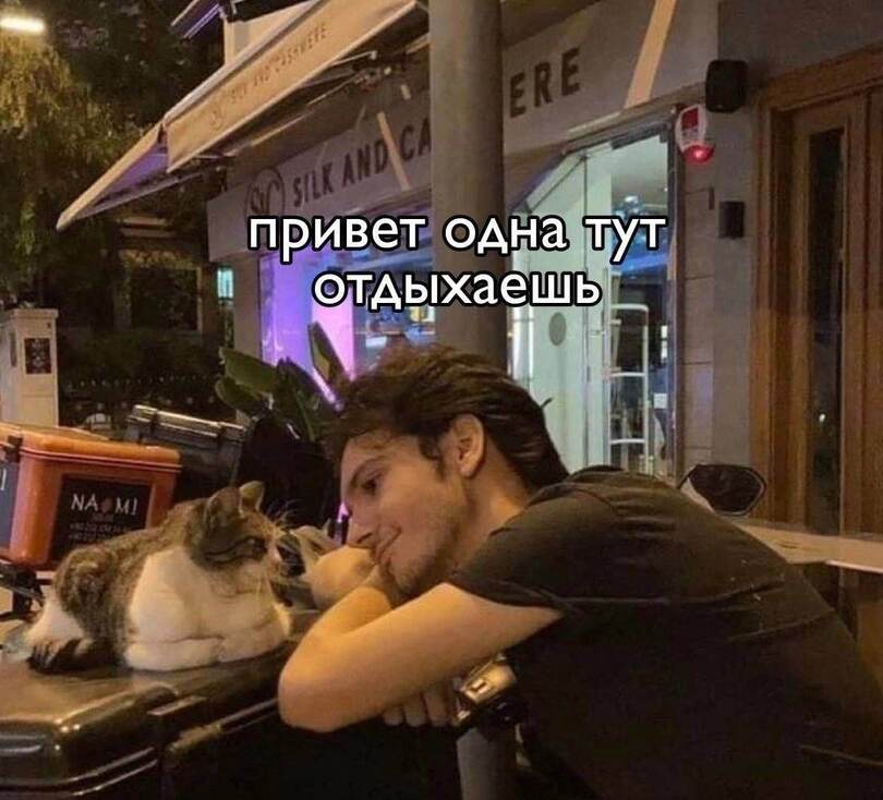%D0%BA%D0%BE%D1%82%D1%8D-%D0%BF%D0%BE%D0%B4%D0%BA%D0%B0%D1%82%D0%B8%D0%BB-7246917.jpeg
