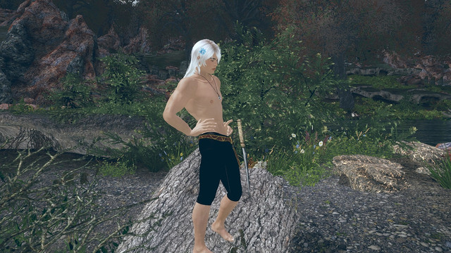 SKYRIM-2022-03-19-11-40-07-13.jpg.jpeg