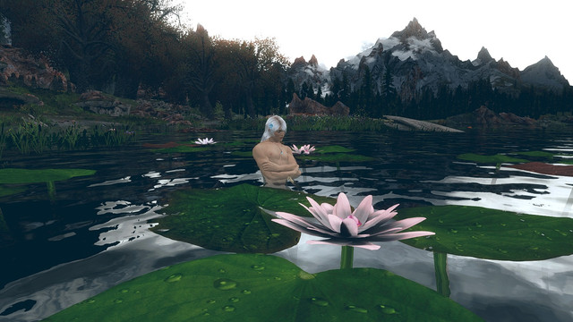 SKYRIM-2022-03-19-11-47-46-41.jpg.jpeg