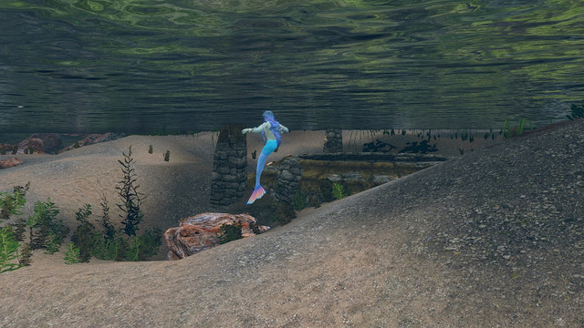 SKYRIM-2022-03-19-14-26-28-27.jpg.jpeg