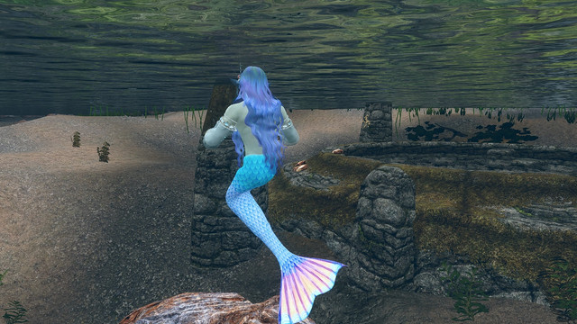 SKYRIM-2022-03-19-14-30-09-73.jpg.jpeg