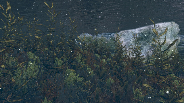 SKYRIM-2022-03-19-15-33-13-17.jpg.jpeg