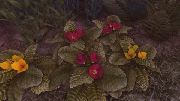 TD Beautiful gardens