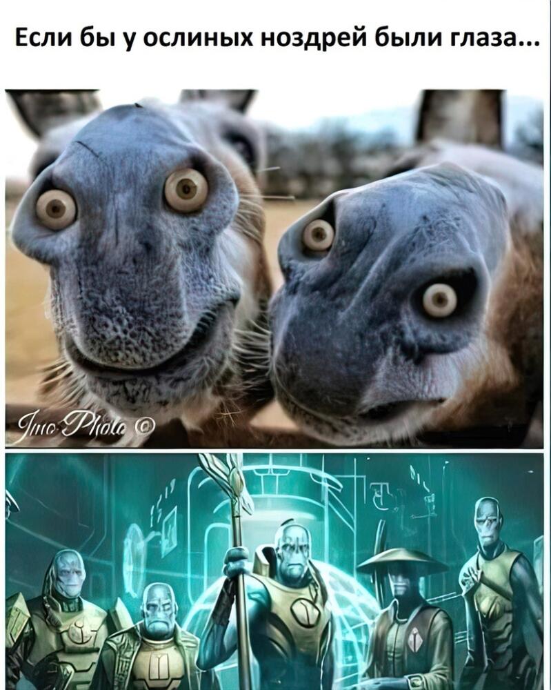 Tau-Empire-Warhammer-40000-%D1%84%D1%8D%D0%BD%D0%B4%D0%BE%D0%BC%D1%8B-wh-humor-7168818.jpeg