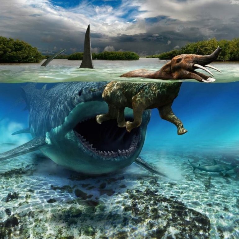 vyglyadit-megalodon.jpg.jpeg