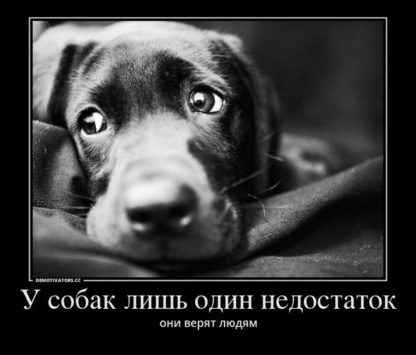 1375911565_2366090_7da91e3b.jpg.jpeg