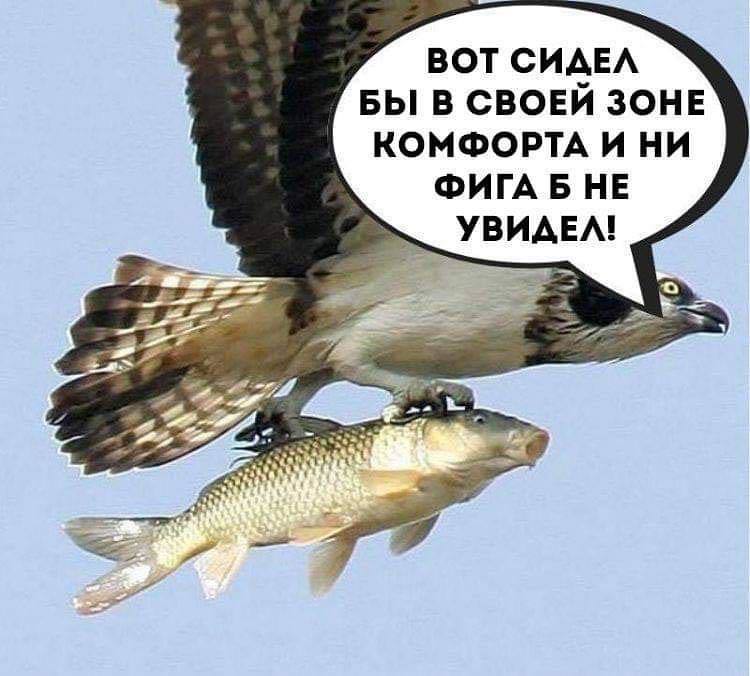 15821084461785985.jpg.jpeg