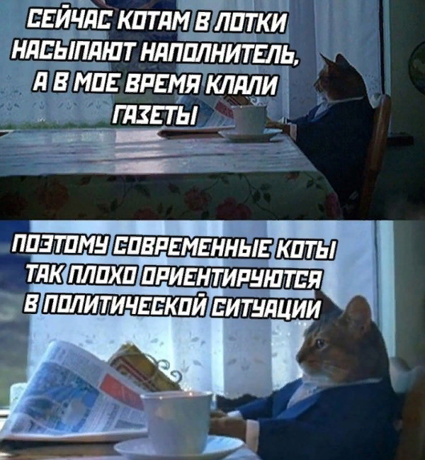 16381641971950821.jpg.jpeg