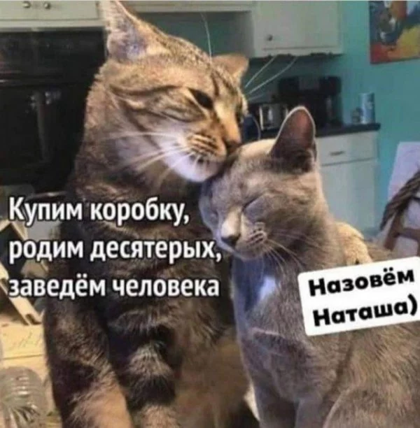 1639056401122565330.webp