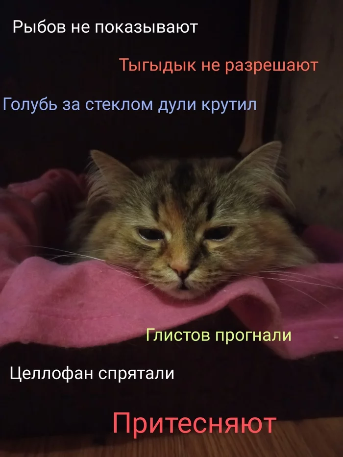 1648802727122715066.webp