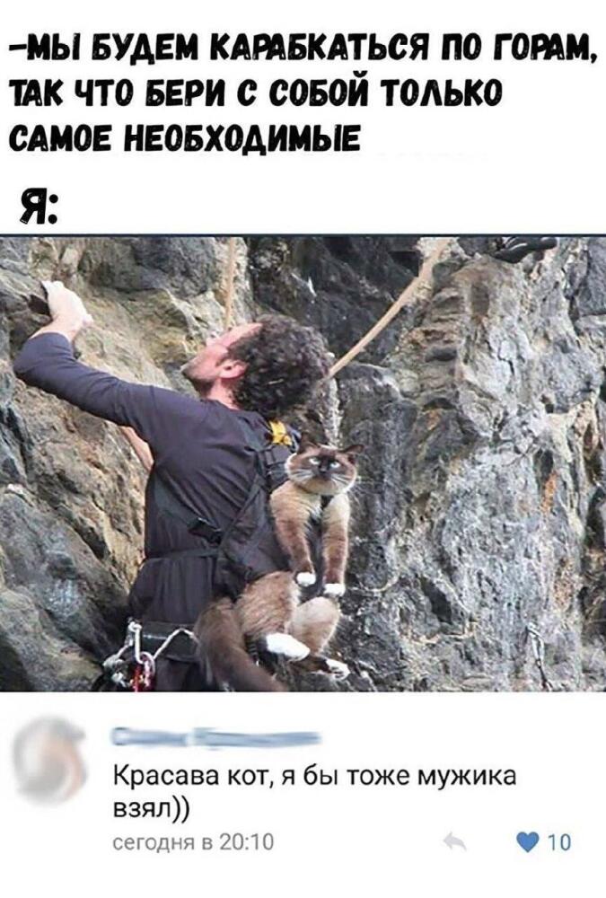 1649738314112614625.jpg.jpeg