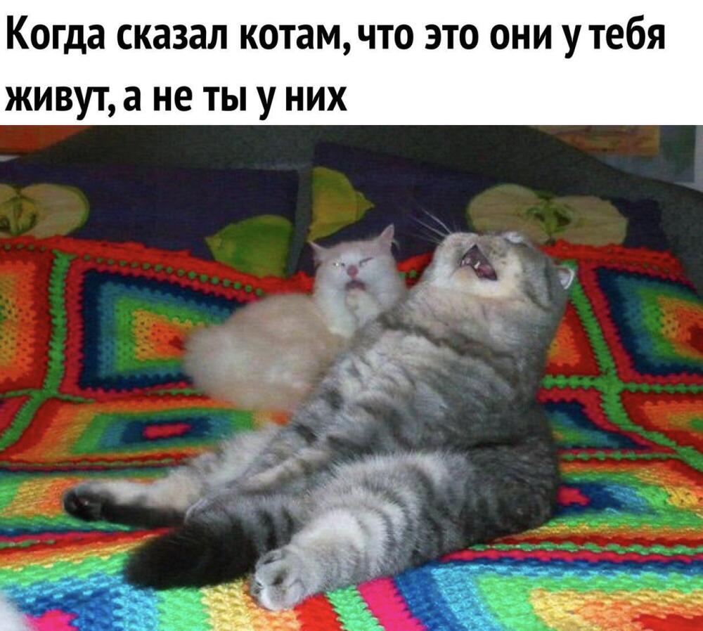 1650101177156876234.jpg.jpeg