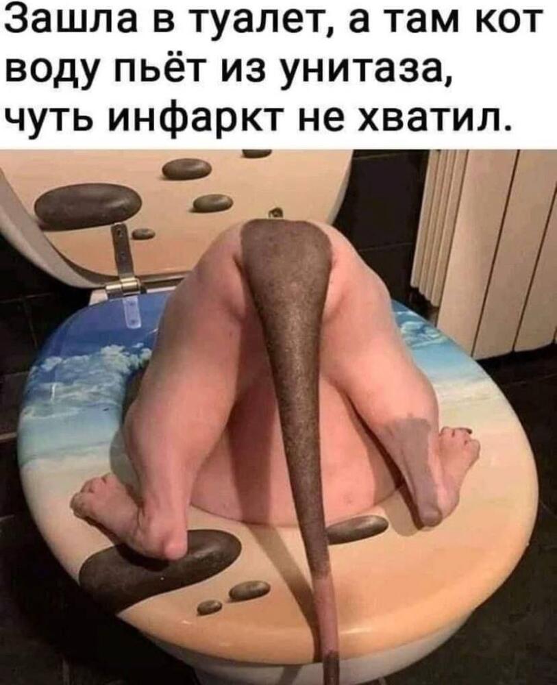 1650534104133471857.jpg.jpeg