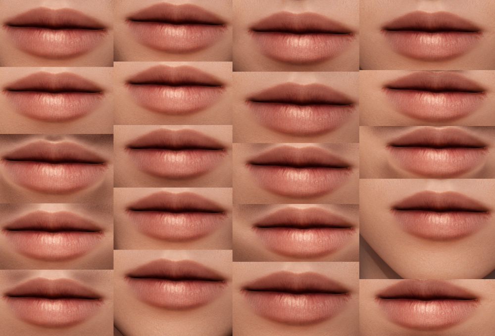 52002746234_4601243500_o.png.png