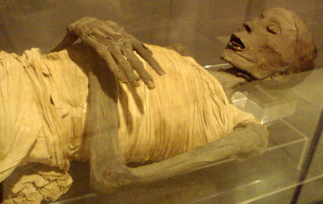 640px-Mummy-UpperClassEgyptianMale-SaitePeriod_RosicrucianMuseum.png.webp.png