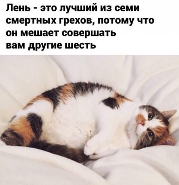 671104_600.jpg.jpeg