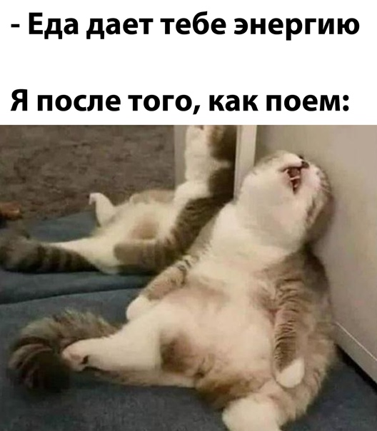 8-9gl2Z7eWU.jpg.jpeg