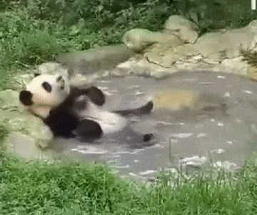 a7bea8a8fc94ffda71a606406f1f04e8.gif