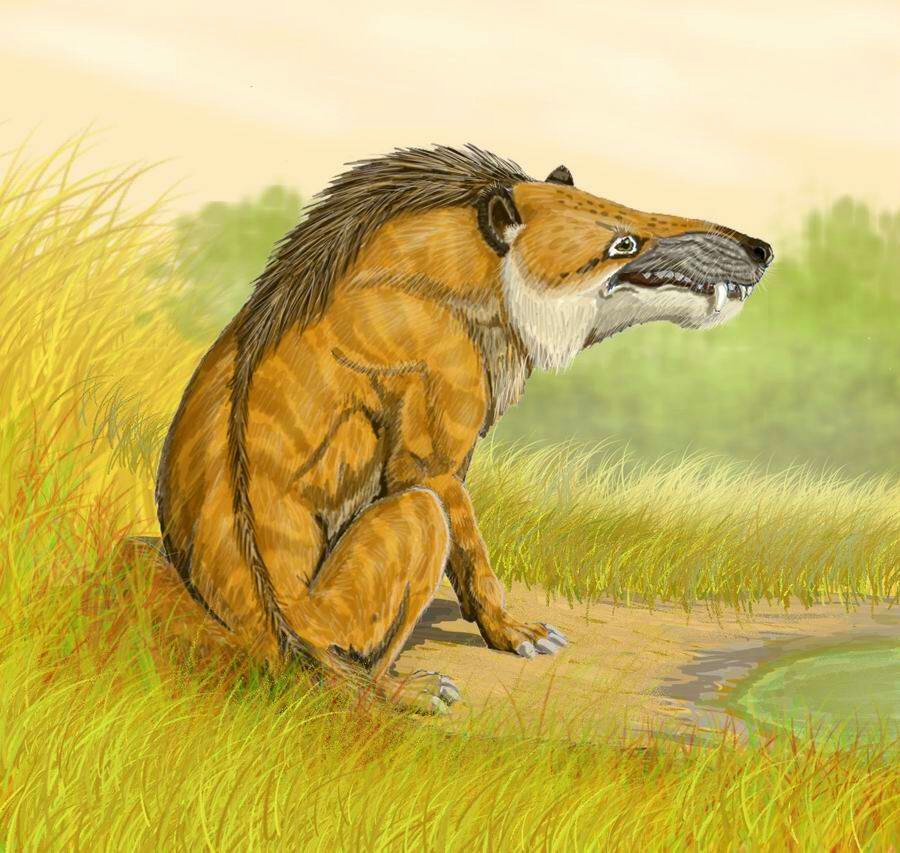 Andrewsarchus_DB.jpg.jpeg