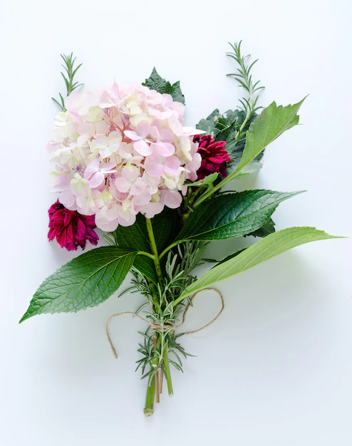 blumenstrauss-von-hortensien-und-dahlien-auf-weissem-hintergrund-draufsicht_58797-671.jpg.webp