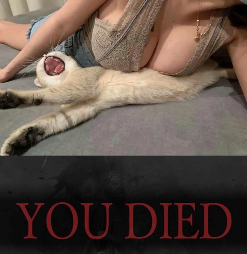 Dark-Souls-%D1%84%D1%8D%D0%BD%D0%B4%D0%BE%D0%BC%D1%8B-NSFW-7335395.jpeg