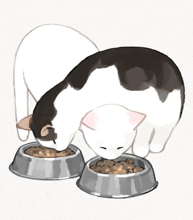 GENTLECAT-%D0%BA%D0%BE%D1%82%D1%8B-%D0%BF%D0%B5%D1%80%D0%B5%D1%80%D0%B8%D1%81%D0%BE%D0%B2%D0%BA%D0%B0-%D0%B0%D1%80%D1%82-7304812.jpeg