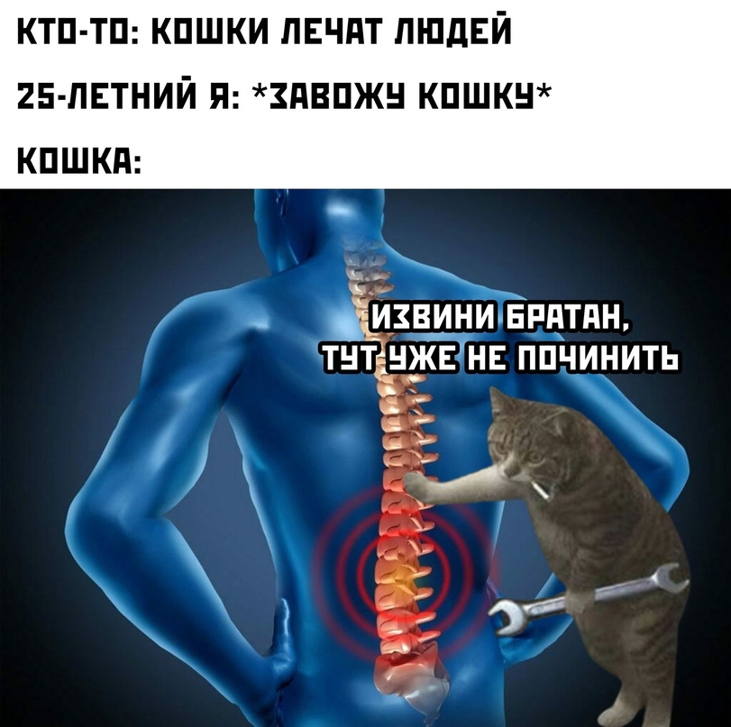 jpg.jpeg