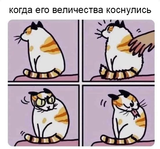 %D0%BA%D0%BE%D1%82%D1%8D-%D0%BF%D0%B5%D1%80%D0%B5%D0%B2%D0%B5%D0%BB-%D1%81%D0%B0%D0%BC-7310868.jpeg