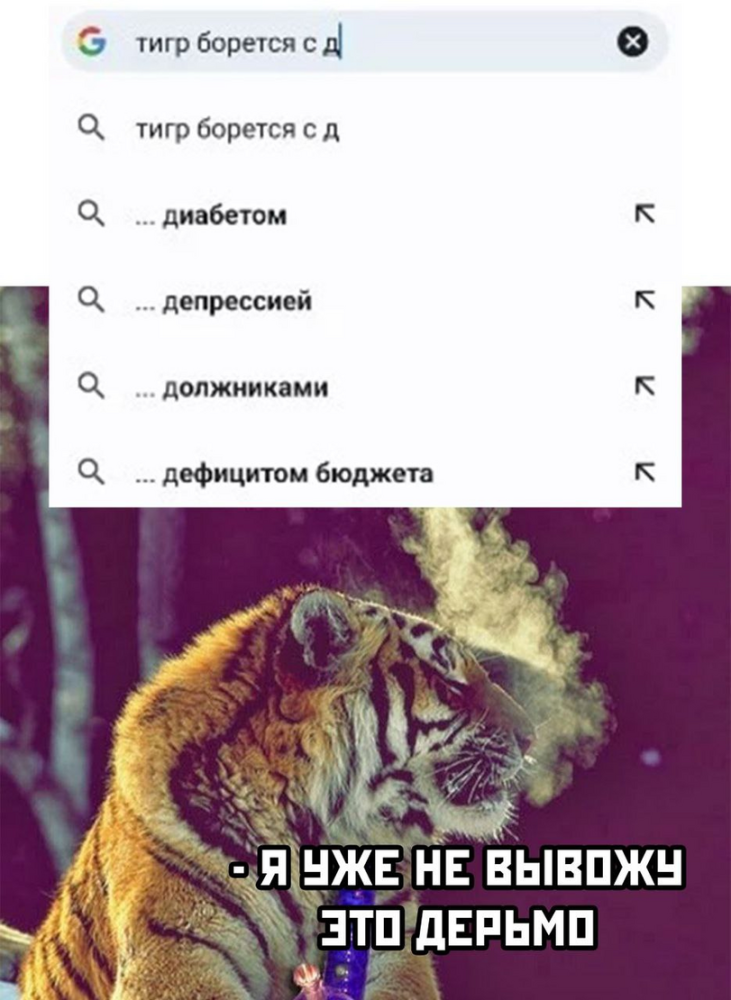 %D0%9C%D0%B5%D0%BC%D1%8B-%D1%82%D0%B8%D0%B3%D1%80-%D0%B4%D0%B5%D0%BF%D1%80%D0%B5%D1%81%D1%81%D0%B8%D1%8F-7311773.png.webp.png