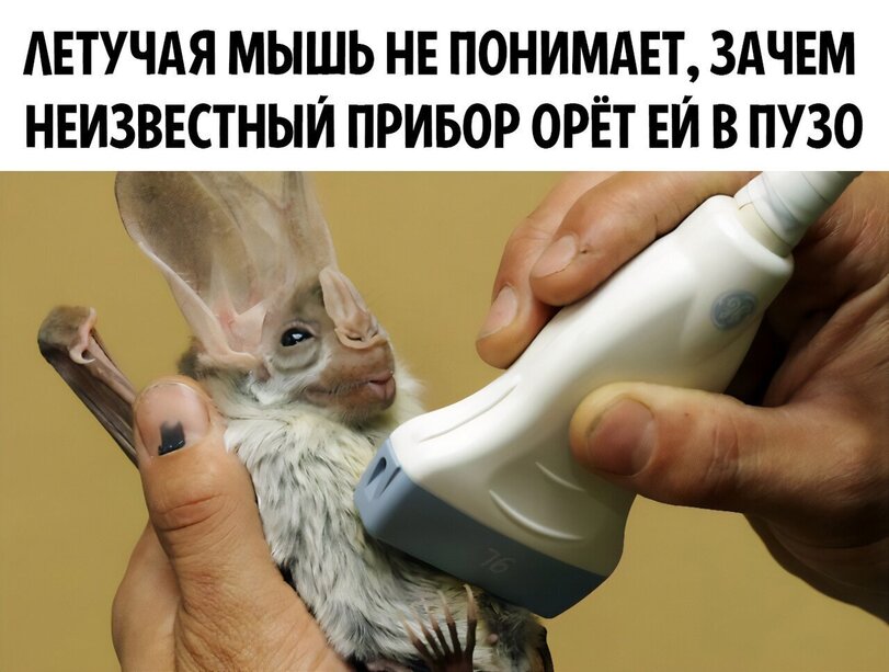 %D0%9F%D1%80%D0%B8%D0%BA%D0%BE%D0%BB%D1%8C%D0%BD%D1%8B%D0%B5-%D0%BA%D0%B0%D1%80%D1%82%D0%B8%D0%BD%D0%BA%D0%B8-%D1%83%D0%B7%D0%B8.jpeg