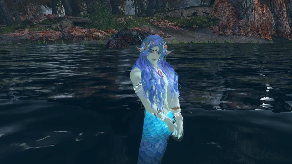 SKYRIM-2022-04-04-23-31-01-41.jpg.jpeg