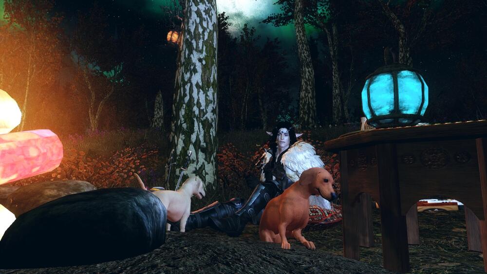 SKYRIM-2022-04-22-23-24-09-09.jpg.jpeg
