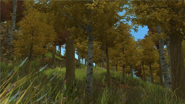 On the way to Chorrol