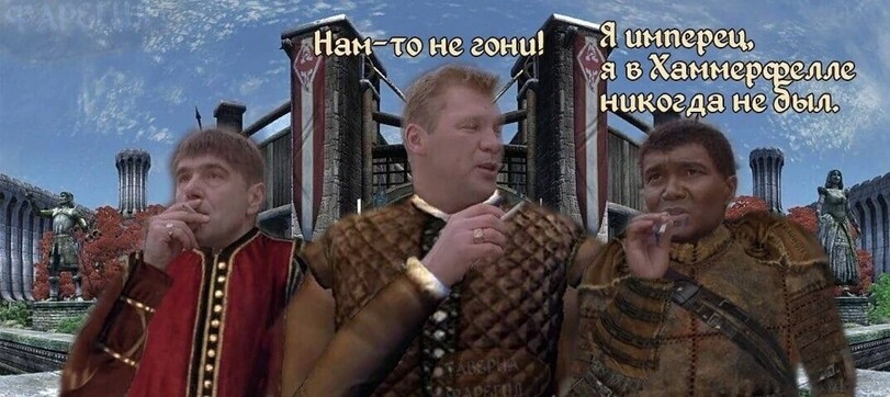 The-Elder-Scrolls-%D1%84%D1%8D%D0%BD%D0%B4%D0%BE%D0%BC%D1%8B-TES-Other-crossover-7295466.jpg.jpeg