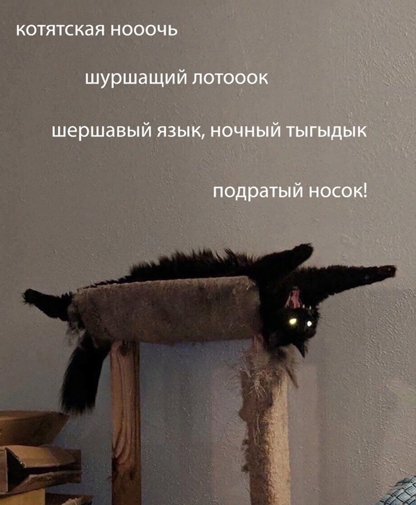 %D0%BA%D0%BE%D1%82%D1%8D-%D0%BA%D0%B0%D1%80%D1%82%D0%B8%D0%BD%D0%BA%D0%B0-%D1%81-%D1%82%D0%B5%D0%BA%D1%81%D1%82%D0%BE%D0%BC-%D0%.jpeg