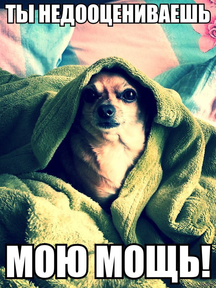 1377288127_273755188.jpg.jpeg