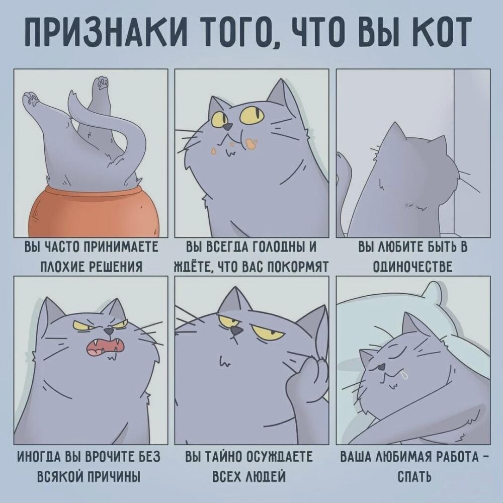 1651290590188690281.jpg.jpeg