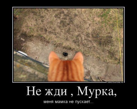 26931720.jpg.jpeg
