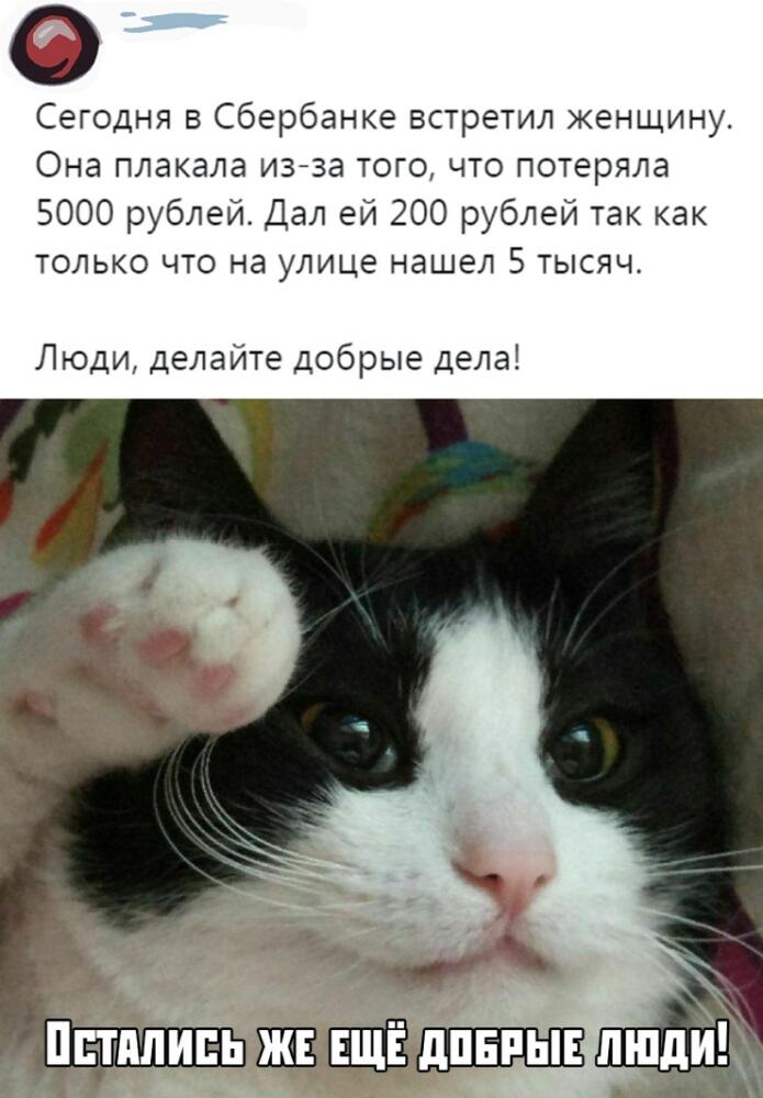 9a10db92_resizedScaled_740to1065.jpg.jpeg