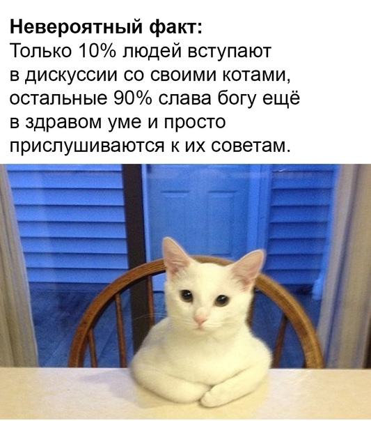 %D0%BA%D0%BE%D1%82-%D1%8E%D0%BC%D0%BE%D1%80-6832413.png.webp.png