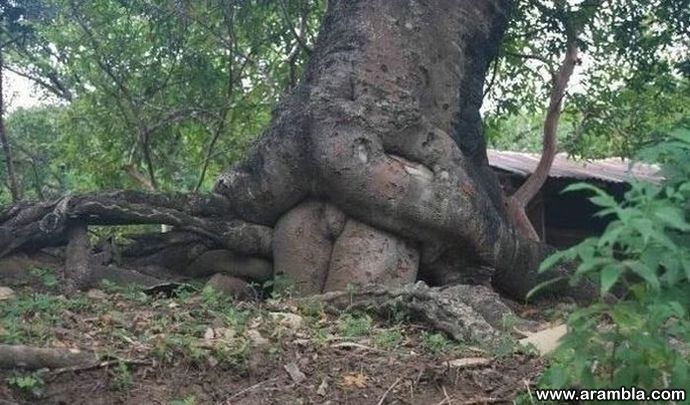 %D0%9F%D0%B0%D1%80%D0%B5%D0%B9%D0%B4%D0%BE%D0%BB%D0%B8%D1%8F-NSFW-%D0%B1%D1%8B%D0%B2%D1%88%D0%B0%D1%8F-%D0%BA%D0%BE%D1%80%D0%BD%.jpeg