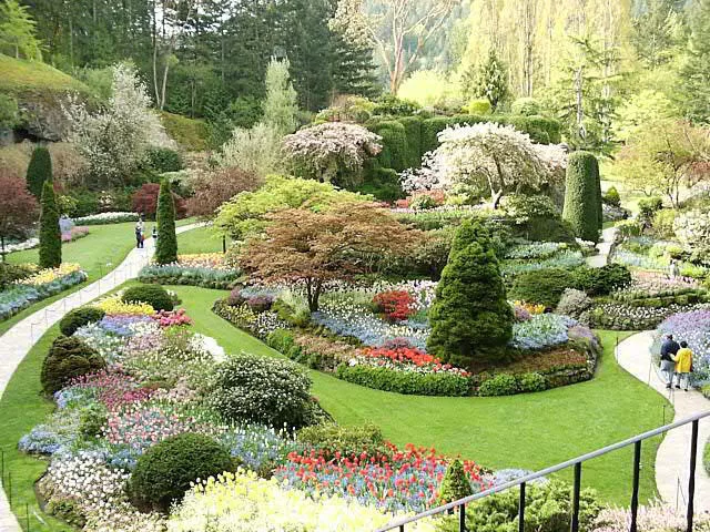 pict0000.jpg.webp