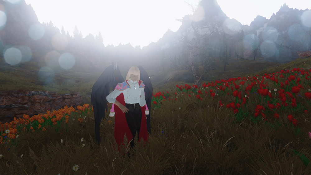 SKYRIM-2022-05-26-23-11-42-67.png.png