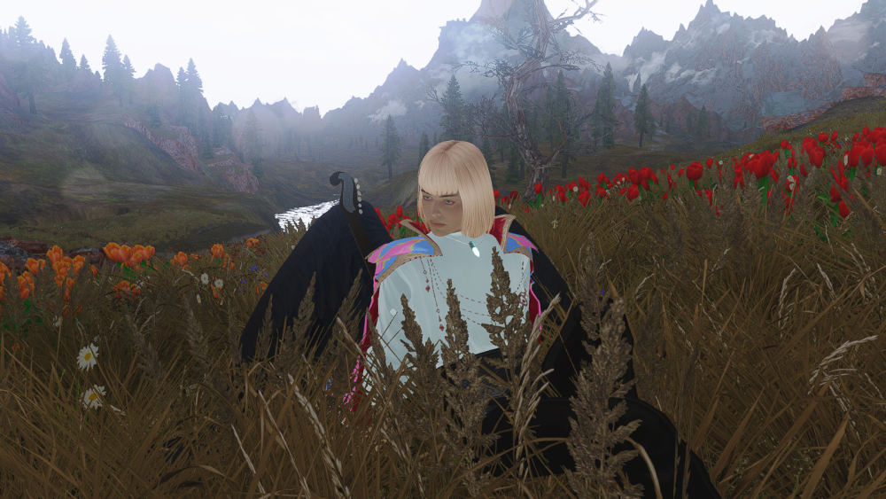 SKYRIM-2022-05-26-23-17-56-03.png.png