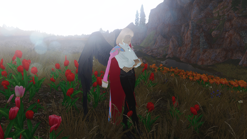 SKYRIM-2022-05-26-23-26-56-33.png.png