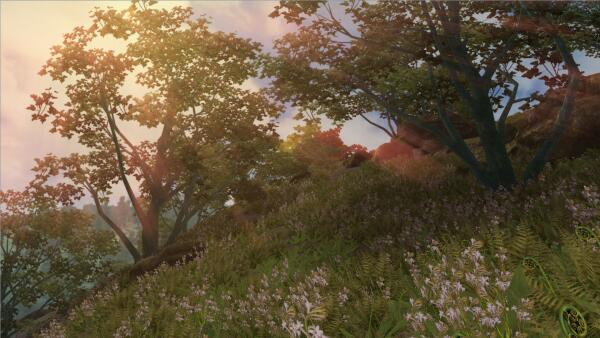 Sunrays