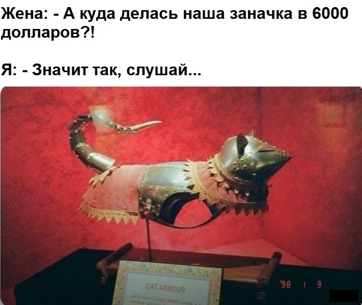 %D0%B4%D0%BE%D1%81%D0%BF%D0%B5%D1%85%D0%B8-%D0%B4%D0%BB%D1%8F-%D0%BA%D0%BE%D1%82%D0%B0-%D0%B4%D0%BE%D1%81%D0%BF%D0%B5%D1%85%D0%B.jpeg
