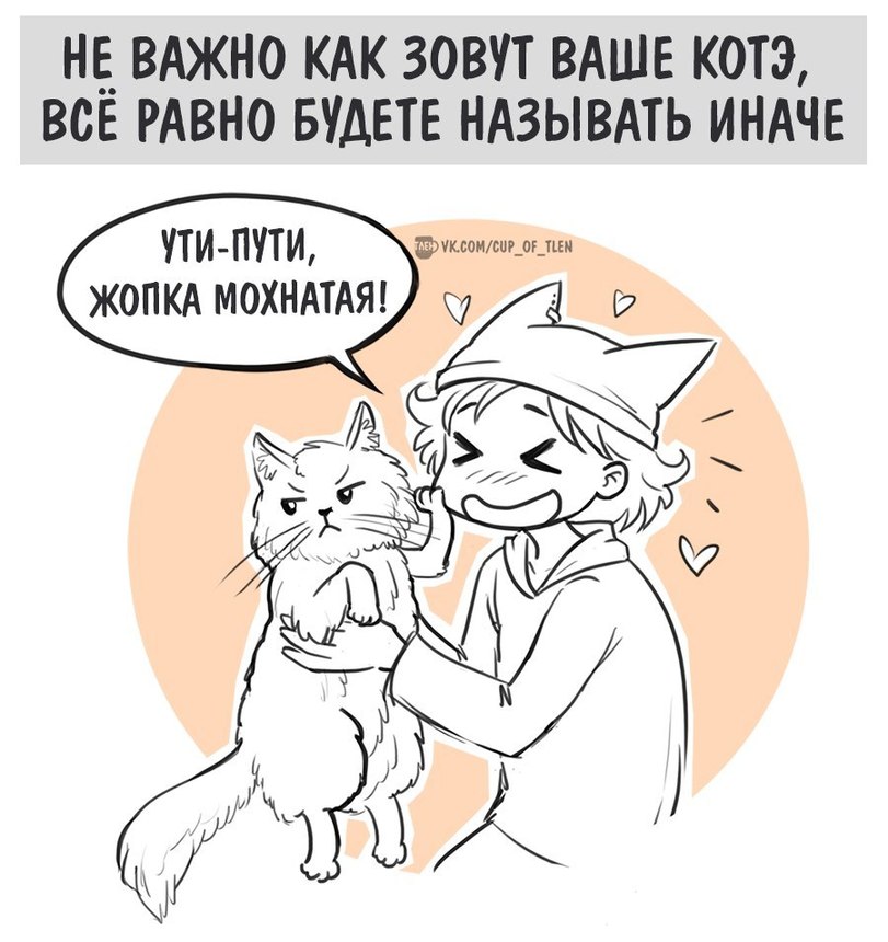 %D0%A7%D0%B0%D1%88%D0%BA%D0%B0-%D1%82%D0%BB%D0%B5%D0%BD%D0%B0-%D0%9A%D0%BE%D0%BC%D0%B8%D0%BA%D1%81%D1%8B-%D0%BA%D0%B8%D1%81%D0%B.jpeg