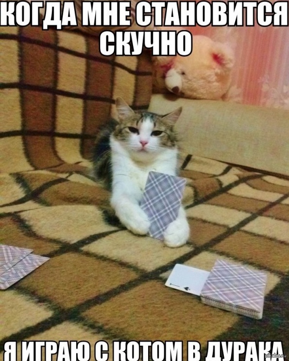 1385977017_1953133232.jpg.jpeg
